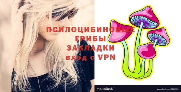 МДПВ Навашино