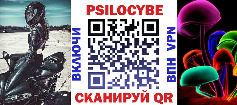 дарнет шоп  Навашино  Галлюциногенные грибы Psilocybine cubensis 